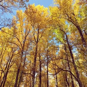 Meet your Posher, Nadia